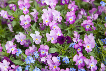 Similar image 22561445