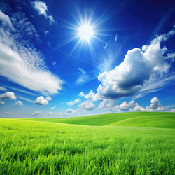 Similar image 22562150