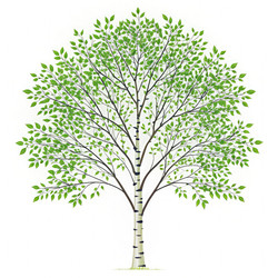 Similar image 22562256