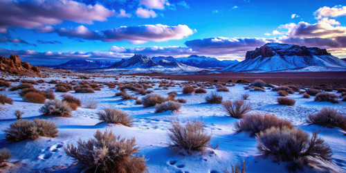 Similar image 22562269