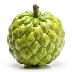 Similar image 22561648