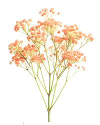 Similar image 22562359