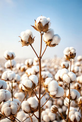 Similar image 22562502