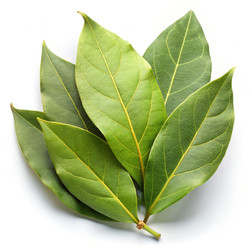 Similar image 22579202