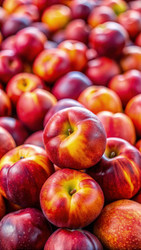 Similar image 22580812