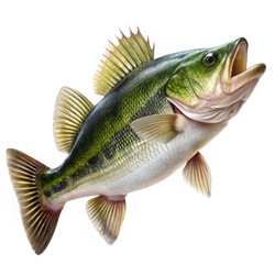 Similar image 22562090