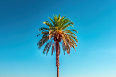 Similar image 22562196