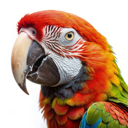 Similar image 22562332