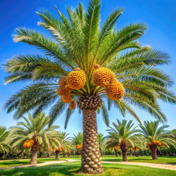 Similar image 22562351