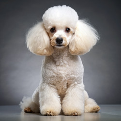 Similar image 22579293