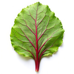 Similar image 22580831