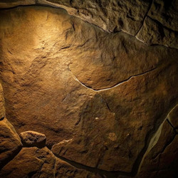 Similar image 22561548