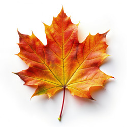 Similar image 22561668