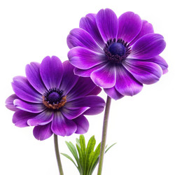 Similar image 22562273