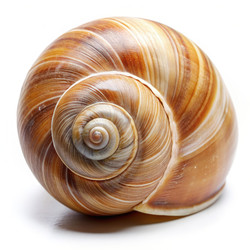 Similar image 22562395