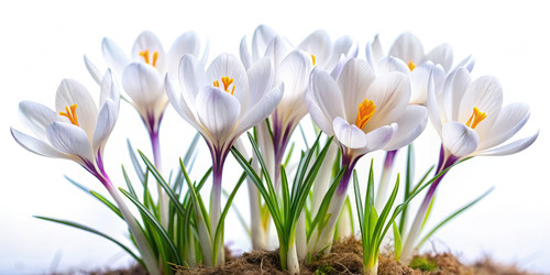 Similar image 22580728