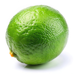 Similar image 22561562