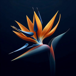 Similar image 22548214