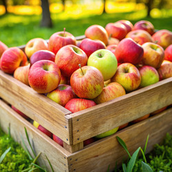 Similar image 22562322