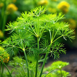 Similar image 22562337