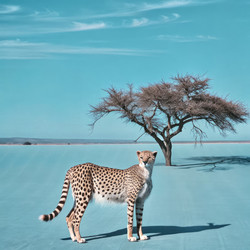 Similar image 22579163