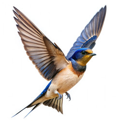 Similar image 22580861