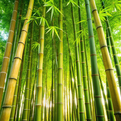 Similar image 22580862