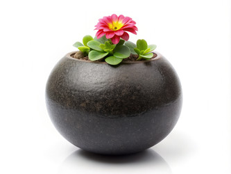 Similar image 22584754