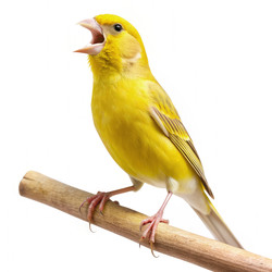 Similar image 22562216