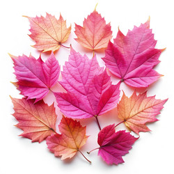 Similar image 22562219