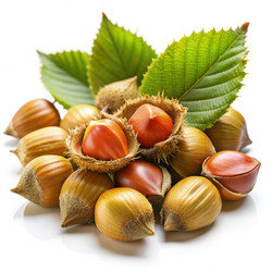 Similar image 22562262