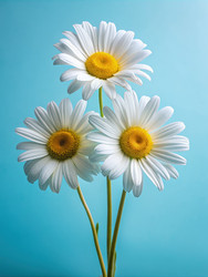 Similar image 22579313