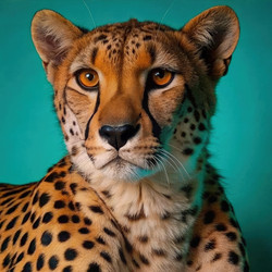 Similar image 22580578