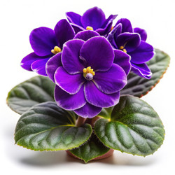 Similar image 22580636