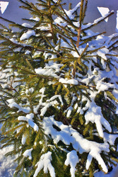 Similar image 22555877