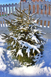 Similar image 22555878