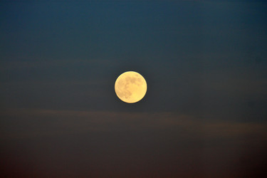 Similar image 22555880