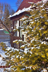 Similar image 22555889