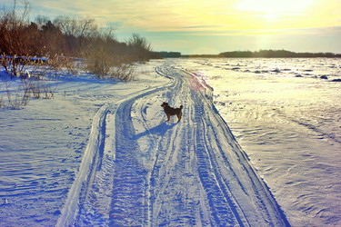 Similar image 22555891