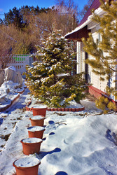 Similar image 22555893