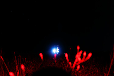 Similar image 22575063