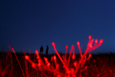 Similar image 22575070