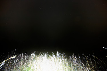 Similar image 22575076