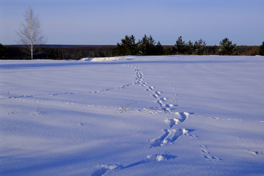 Similar image 22551235