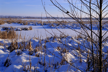 Similar image 22551236