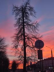 Similar image 22555493