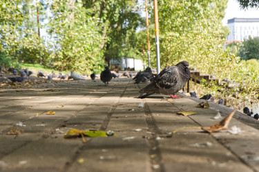 Similar image 22555405