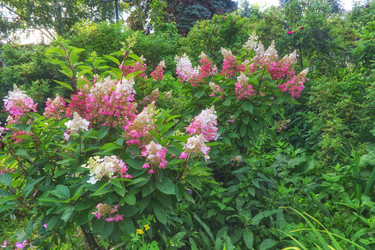 Similar image 22555406