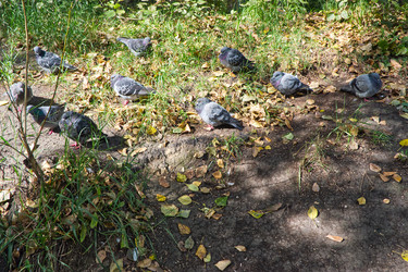 Similar image 22555407