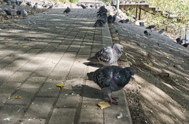 Similar image 22555408